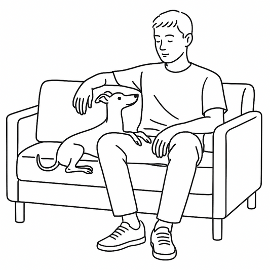 Bibidi Boo Journal、はじめました。